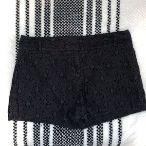Loft Black Lace Floral Marisa Shorts